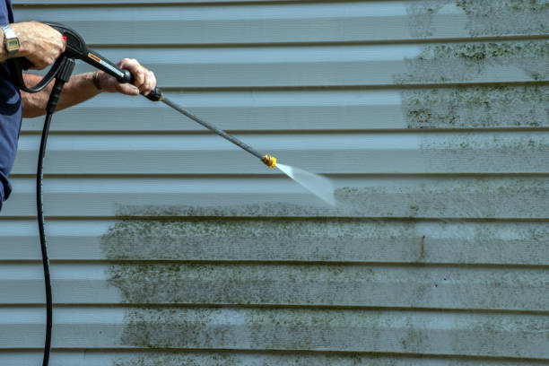Best Dumpster Area Cleaning  in Fulton, NY